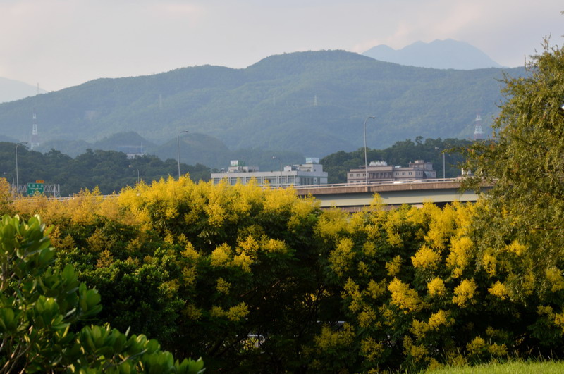 DSC_0063_調整大小 DSC_0063_調整大小