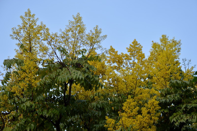 DSC_0010_調整大小 DSC_0010_調整大小
