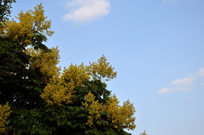 DSC_0079_調整大小 DSC_0079_調整大小
