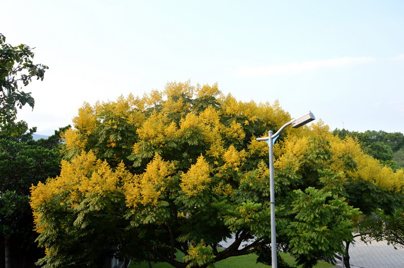 DSC_0080_調整大小 DSC_0080_調整大小