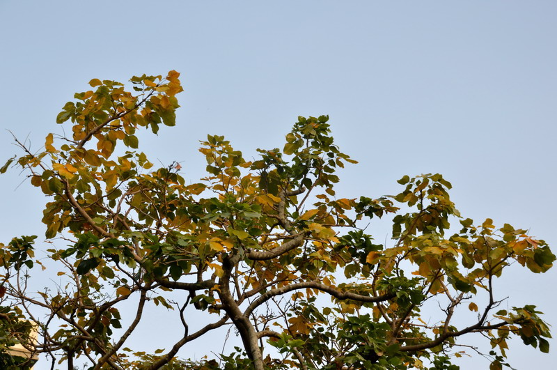 DSC_0116_調整大小 DSC_0116_調整大小