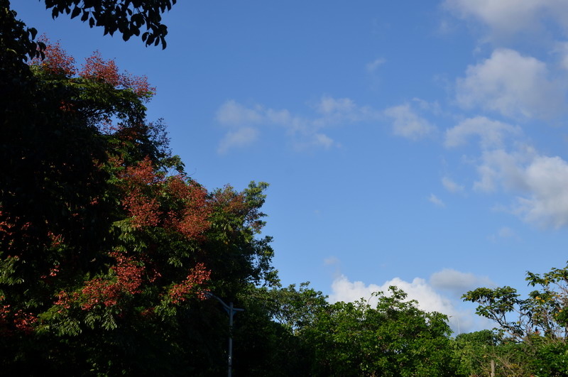 DSC_0057_調整大小 DSC_0057_調整大小