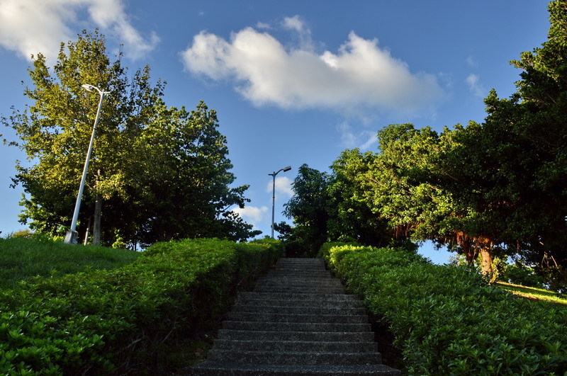 DSC_0101.jpg-1_調整大小 DSC_0101.jpg-1_調整大小