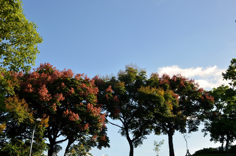 DSC_0077_調整大小 DSC_0077_調整大小