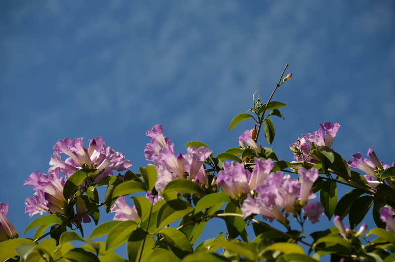 DSC_0032_調整大小 