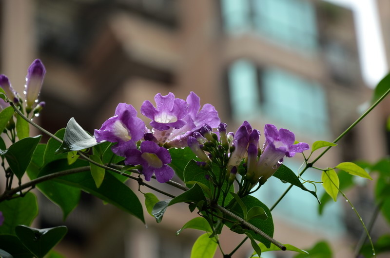 DSC_0015_調整大小 DSC_0015_調整大小