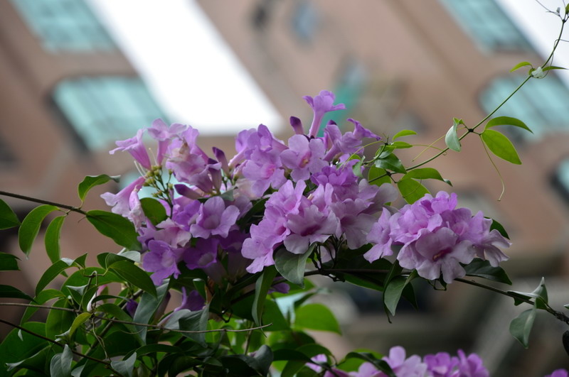 DSC_0028_調整大小 DSC_0028_調整大小