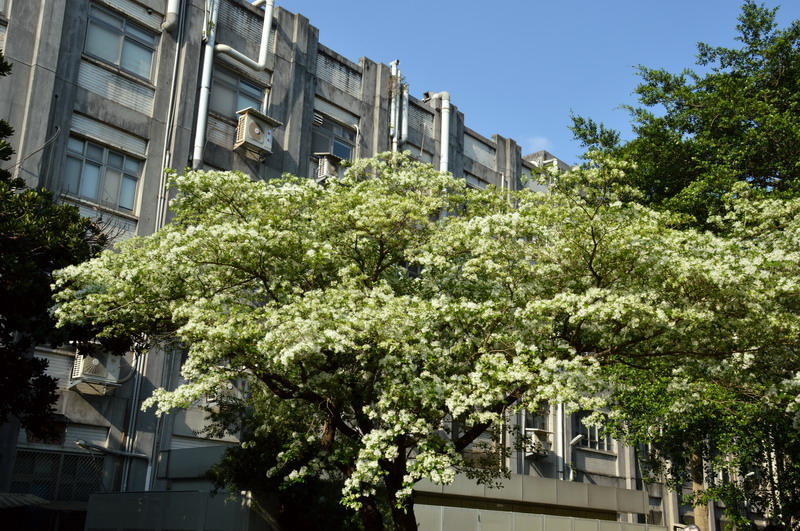 DSC_0214_調整大小 DSC_0214_調整大小