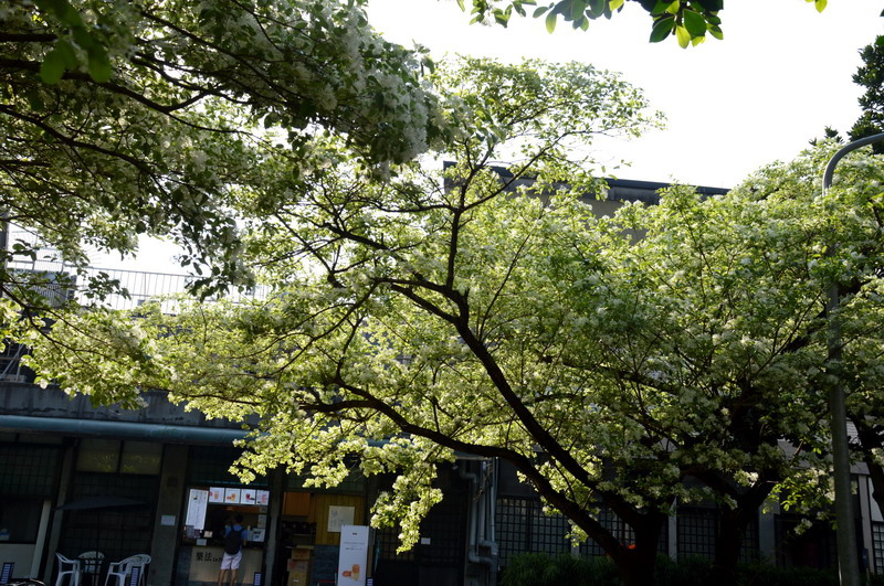 DSC_0228_調整大小 DSC_0228_調整大小