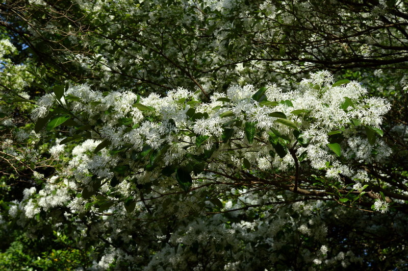 DSC_0220-1_調整大小 