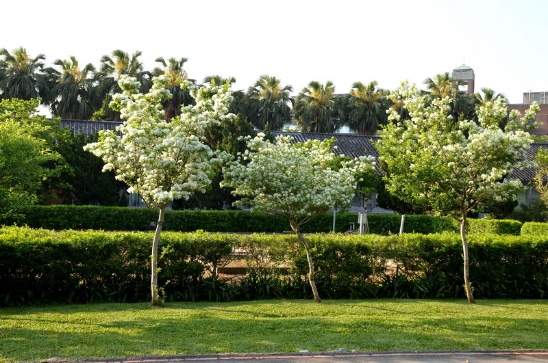 DSC_0380-1_調整大小 DSC_0380-1_調整大小