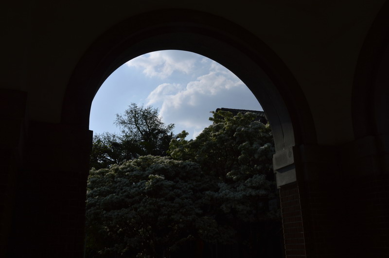 DSC_0265_調整大小 DSC_0265_調整大小