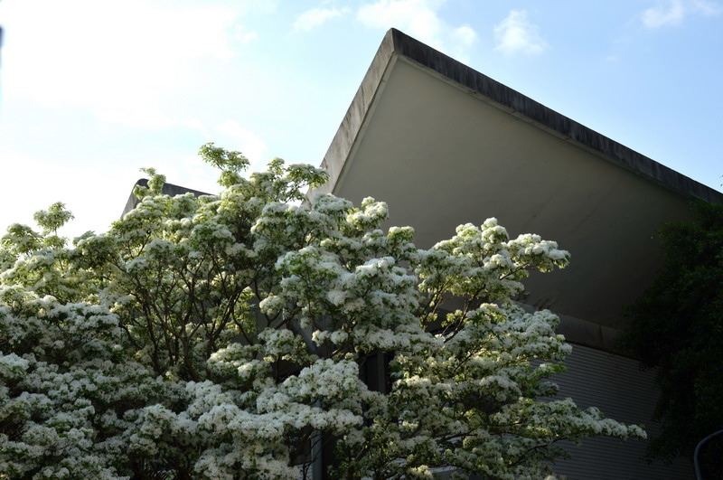 DSC_0269_調整大小 DSC_0269_調整大小