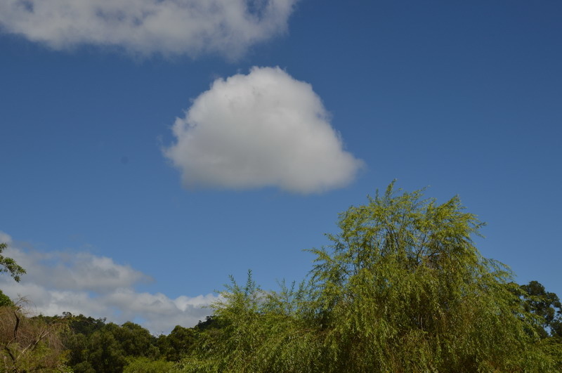 DSC_0010_調整大小 DSC_0010_調整大小