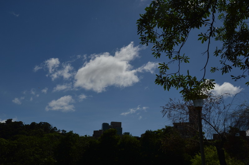 DSC_0020_調整大小 DSC_0020_調整大小