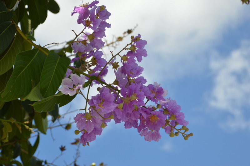 DSC_0107_調整大小 DSC_0107_調整大小