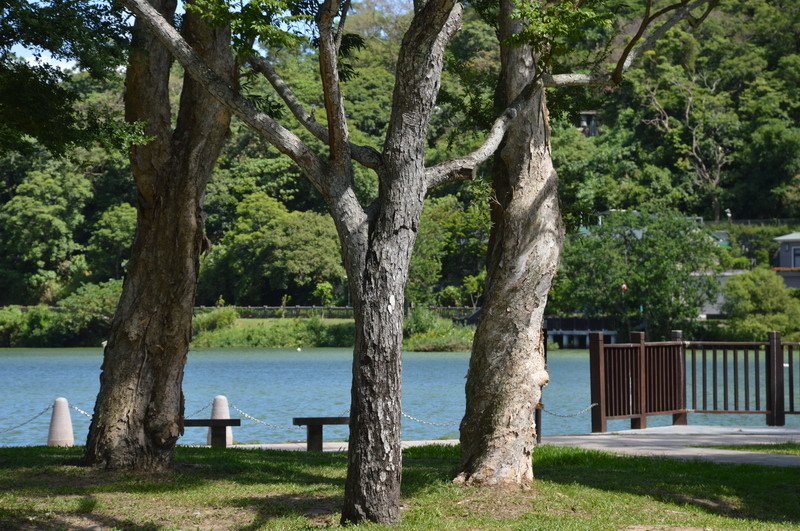 DSC_0026_調整大小 DSC_0026_調整大小