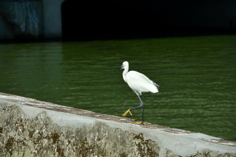 DSC_0070_調整大小 DSC_0070_調整大小