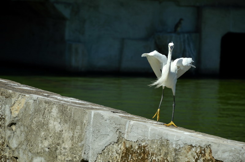 DSC_0073_調整大小 DSC_0073_調整大小