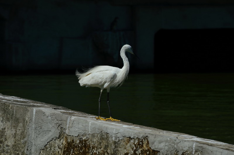DSC_0074_調整大小 DSC_0074_調整大小