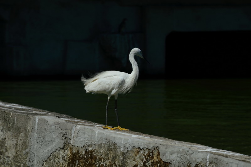 DSC_0074_調整大小 