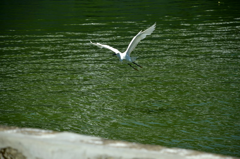 DSC_0072-1`_調整大小 DSC_0072-1`_調整大小