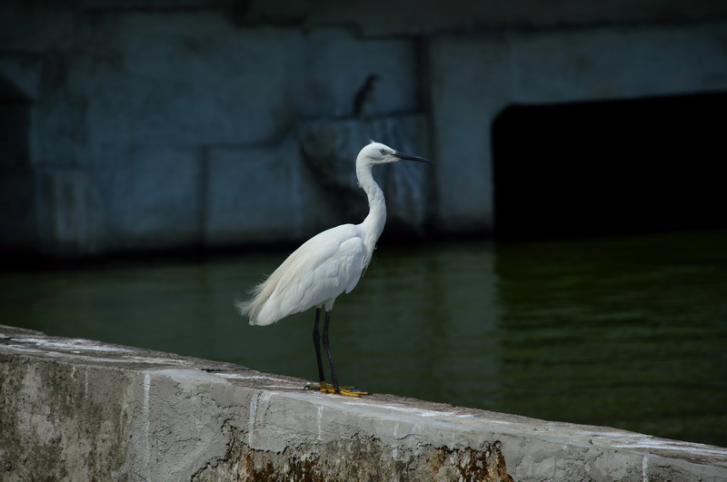 DSC_0077_調整大小 DSC_0077_調整大小