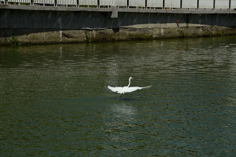 DSC_0094_調整大小 DSC_0094_調整大小