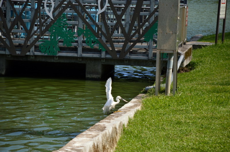 DSC_0134_調整大小 DSC_0134_調整大小