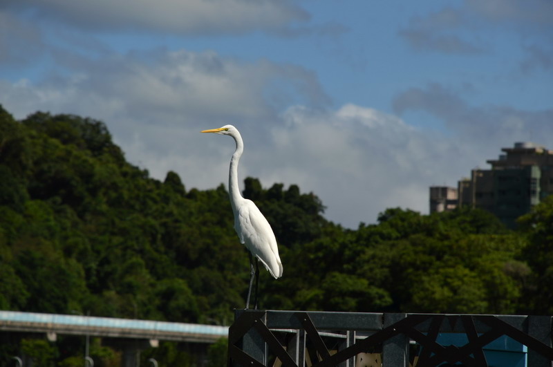 DSC_0087_調整大小 DSC_0087_調整大小