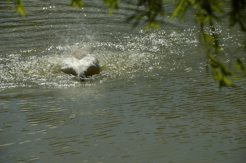 DSC_0160_調整大小 