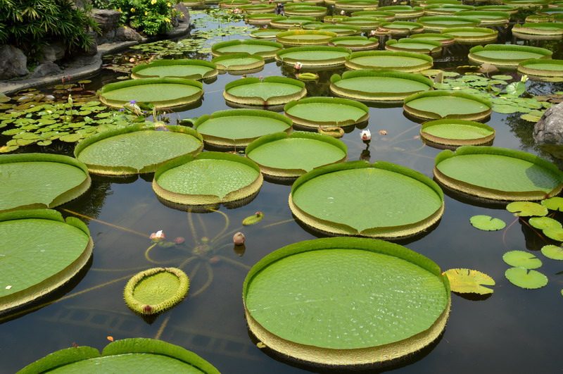 DSC_0022_調整大小 