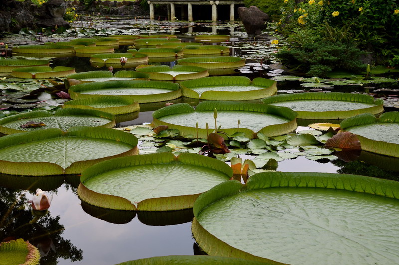 DSC_0225_調整大小 