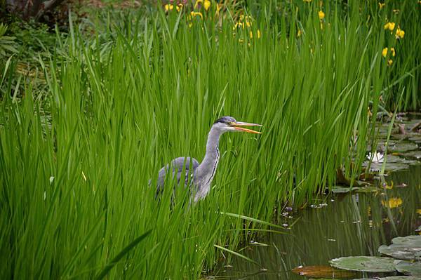 DSC_0163_調整大小 .jpg