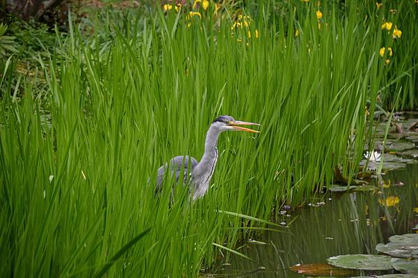 DSC_0163_調整大小 .jpg