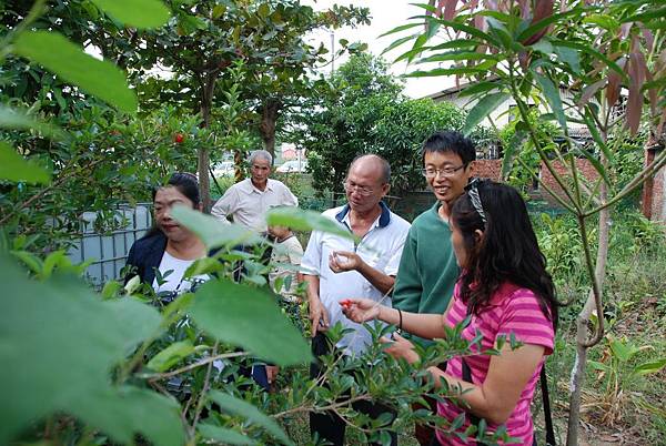 DSC_0334.jpg DSC_0334.jpg