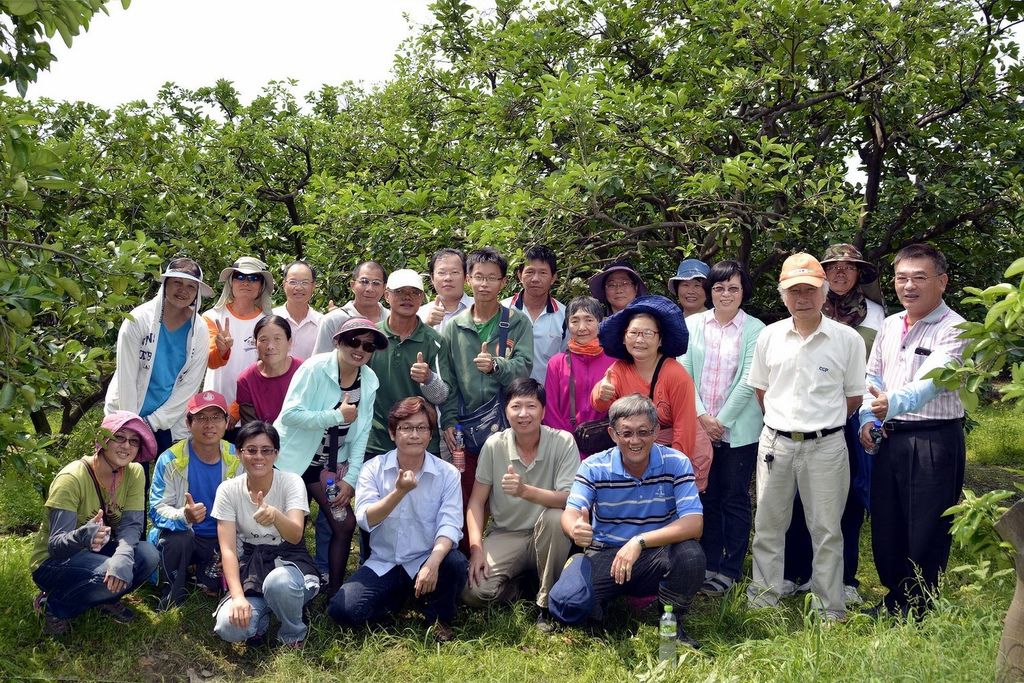 林助育麻豆文旦柚子001.jpg 林助育麻豆文旦柚子001.jpg