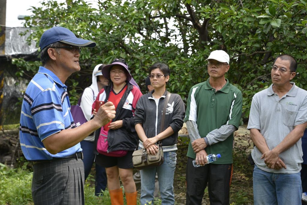 林助育麻豆文旦柚子005.jpg 林助育麻豆文旦柚子005.jpg