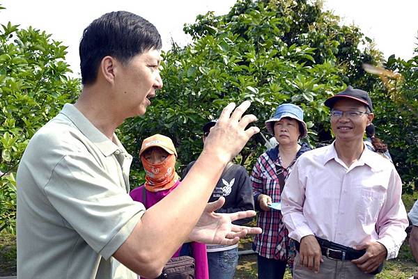 吳佳璋麻豆文旦柚子006.jpg