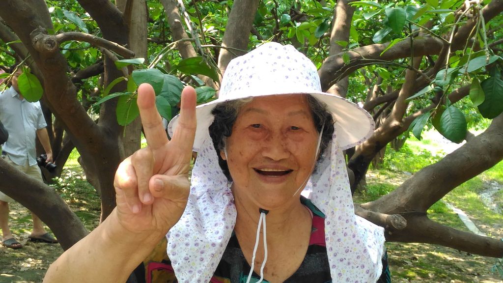 麻豆文旦柚子林助育003 麻豆文旦柚子林助育003