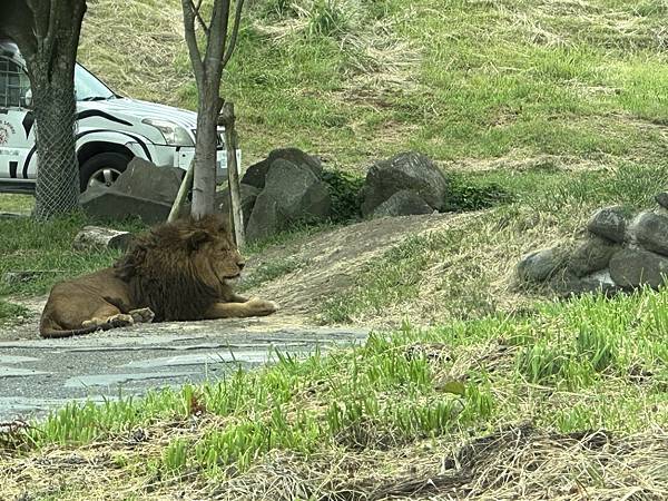 2023九州自助-Day4(九州自然動物園-陽光庵旅館Hin