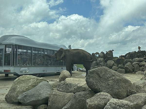 2023九州自助-Day4(九州自然動物園-陽光庵旅館Hin