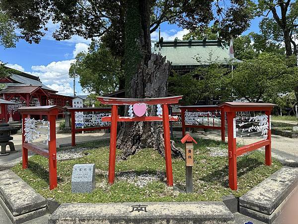 2023九州自助-Day5(戀木神社-大魚神社海中鳥居-祐德