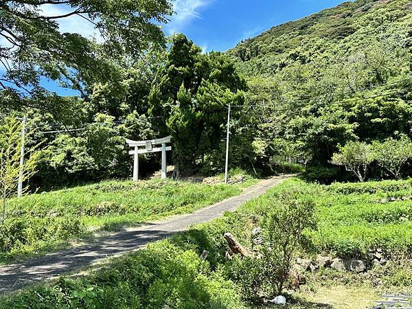 2023九州自助-Day6(唐津城-寶當神社-櫻井二見浦夫婦