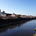 nEO_IMG_IMG_5041.jpg
