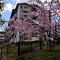 nEO_IMG_IMG_5110.jpg