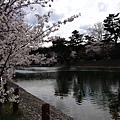 nEO_IMG_IMG_5138.jpg