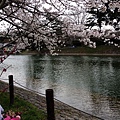 nEO_IMG_IMG_5139.jpg