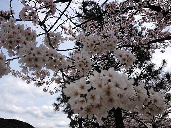 nEO_IMG_IMG_5140.jpg