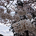 nEO_IMG_IMG_5140.jpg